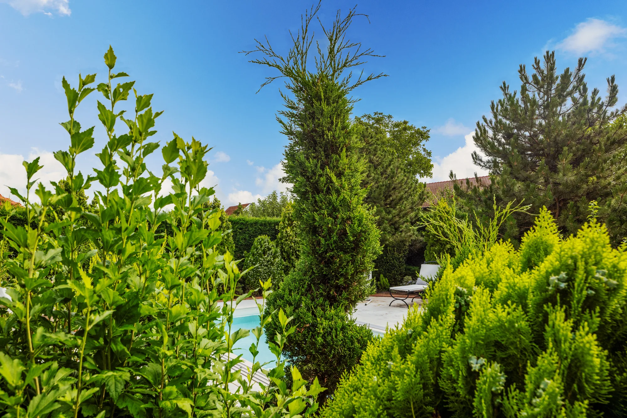 Amenajare exterioara — GRADINA URBANA DISCRETA, stil italian, Timisoara. Imagine 7 din 9